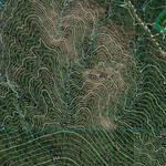 Cardwell (8161-344i) Preview 3