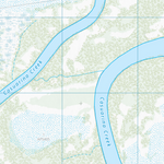 Casuarina (9050-41) Preview 2