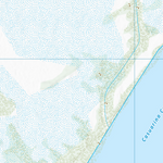 Casuarina (9050-412) Preview 2