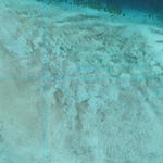 Coconut Island (7577-142i) Preview 3