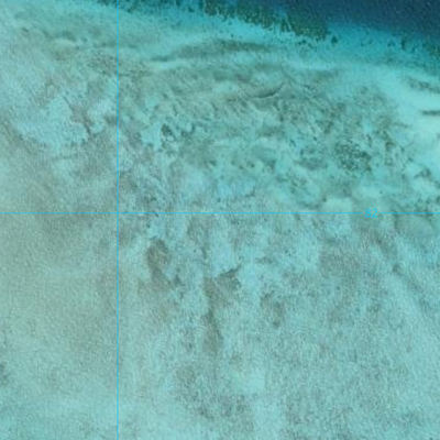 Coconut Island (7577-142i) Preview 3