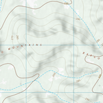 Congie (7644-42) Preview 3