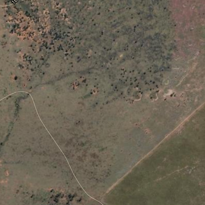 Cooroorah (8651-233i) Preview 2