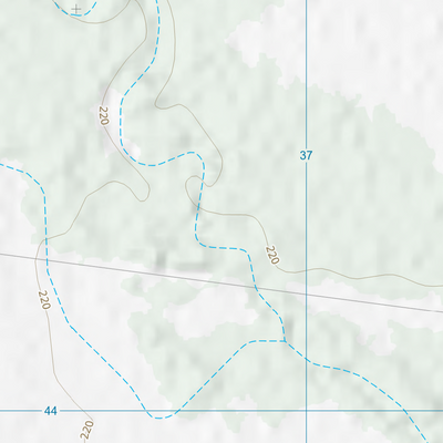 Crinum (8551-142) Preview 3