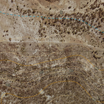 Cungelella (8348-422i) Preview 3