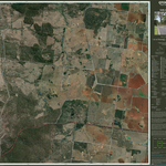 Cushnie (9245-312i) Preview 1