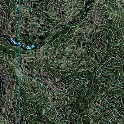 Daintree (7965-243i) Preview 3