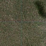 Doherty Swamp (7767-213i) Preview 2