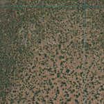 Doherty Swamp (7767-224i) Preview 3