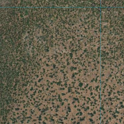 Doherty Swamp (7767-224i) Preview 3