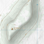 Fernlees (8550-343) Preview 3
