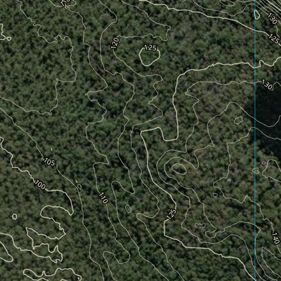 Fig Tree Lake (9546-433i) Preview 2