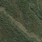Fig Tree Lake (9546-434i) Preview 2