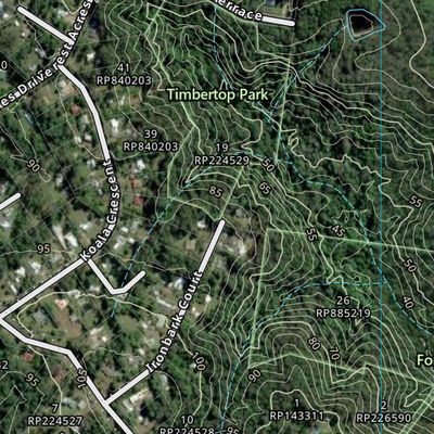 FOREST ACRES (9445-213i) Preview 3