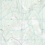 Forest Vale (8446-21) Preview 3