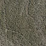 Green Swamp (8358-423i) Preview 3