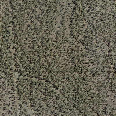 Green Swamp (8358-423i) Preview 3