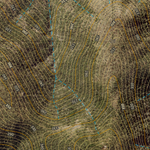 Gregory Ranges (8358-234i) Preview 3
