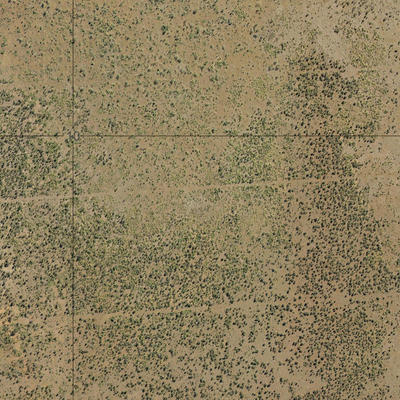 Gum Tree Creek (8454-112i) Preview 3