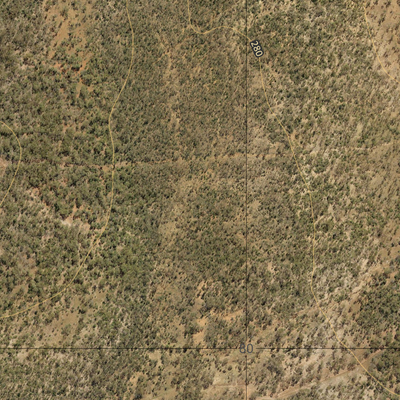 Gum Tree Creek (8454-144i) Preview 3