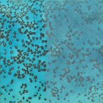 Heron Island (9251-222i) Preview 3