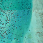 Heron Island (9251-223i) Preview 2