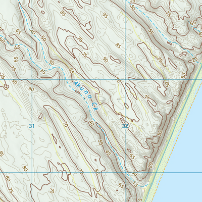 Indian Head (9547-14) Preview 3