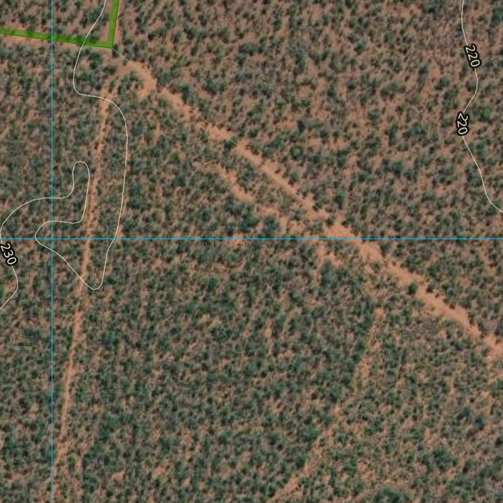 Junee (8752-313i) Map by Department of Natural Resources and Mines ...