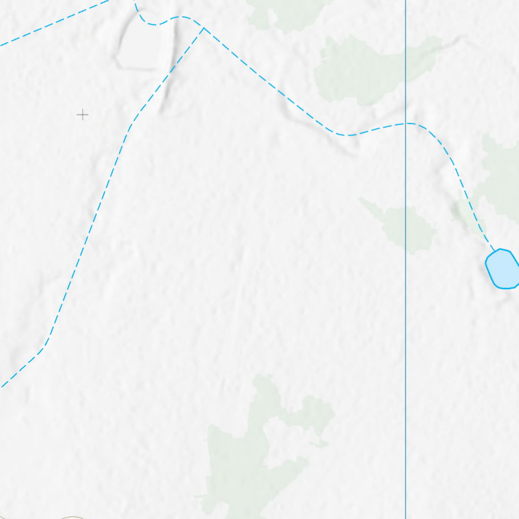 Junee (8752-333) Map by Department of Natural Resources and Mines ...