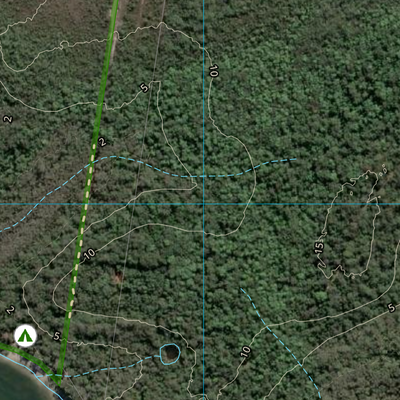Kauri Creek (9446-211i) Preview 3