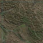 Kauri Creek (9446-212i) Preview 2