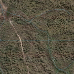 Kauri Creek (9446-212i) Preview 3