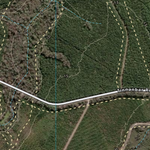 Kauri Creek (9446-214i) Preview 2