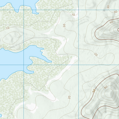 Leicester Island (8953-21) Preview 3