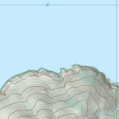 Liver Point (8259-143) Preview 3