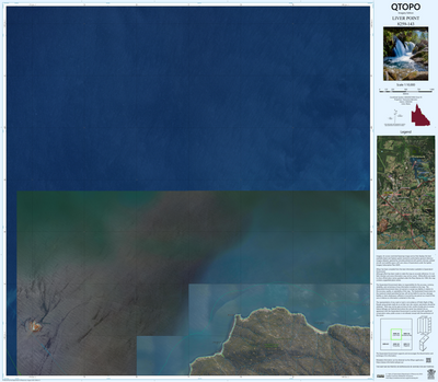 LIVER POINT (8259-143i) Preview 1