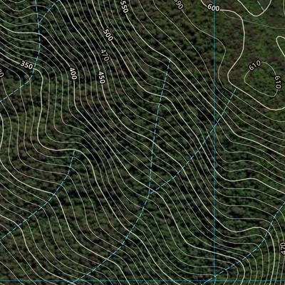 Mount Echo (8061-234i) Preview 2