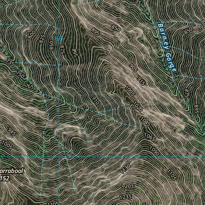 Mount Lindesay (9441-314i) Preview 3