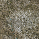 Mount Tabor (8447-431i) Preview 3