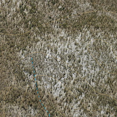 Mount Tabor (8447-431i) Preview 3
