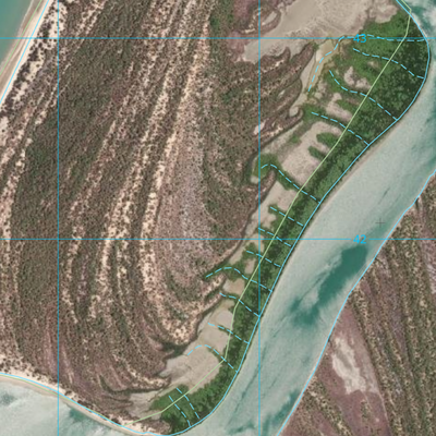 Nassau River (7166-22i) Preview 3