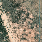 Nooyeah Downs (7641-141i) Preview 3