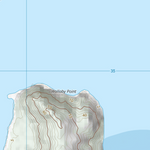 Palm Islands (8260-431) Preview 3