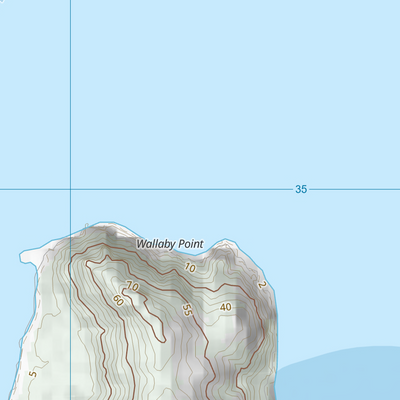 Palm Islands (8260-431) Preview 3