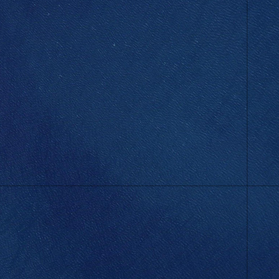Palm Islands (8260-431i) Preview 2