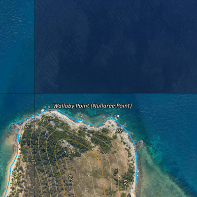 Palm Islands (8260-431i) Preview 3