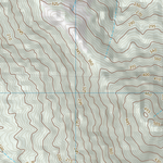 Palm Islands (8260-432) Preview 3
