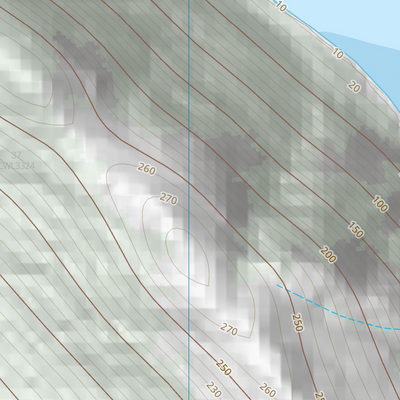 Palm Islands (8260-434) Preview 3