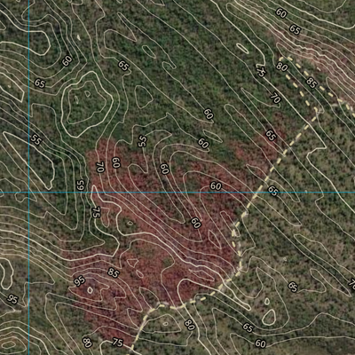 PALM PARK (9052-312i) Preview 3