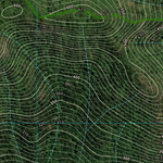 PALM TREE CREEK (8556-122i) Preview 3